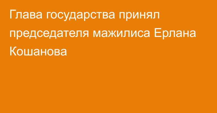 Глава государства принял председателя мажилиса Ерлана Кошанова