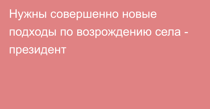 Нужны совершенно новые подходы по возрождению села - президент