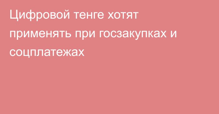 Цифровой тенге хотят применять при госзакупках и соцплатежах