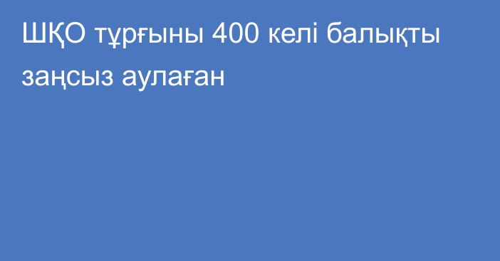 ШҚО тұрғыны 400 келі балықты заңсыз аулаған