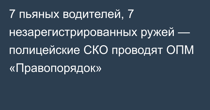 7 пьяных водителей, 7 незарегистрированных ружей — полицейские СКО проводят ОПМ «Правопорядок»