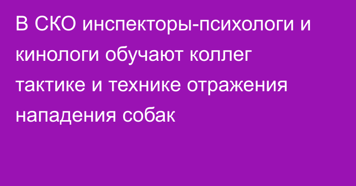 В СКО инспекторы-психологи и кинологи обучают коллег тактике и технике отражения нападения собак