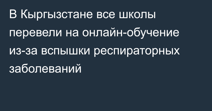 В Кыргызстане все школы перевели  на онлайн-обучение из-за вспышки респираторных заболеваний