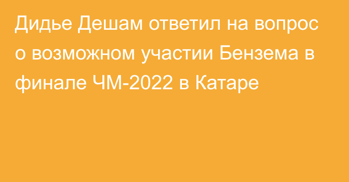 Дидье Дешам ответил на вопрос о возможном участии Бензема в финале ЧМ-2022 в Катаре