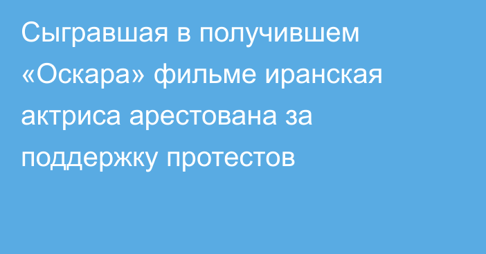 Сыгравшая в получившем «Оскара» фильме иранская актриса арестована за поддержку протестов