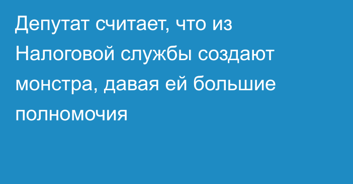 Депутат считает, что из Налоговой службы создают монстра, давая ей большие полномочия