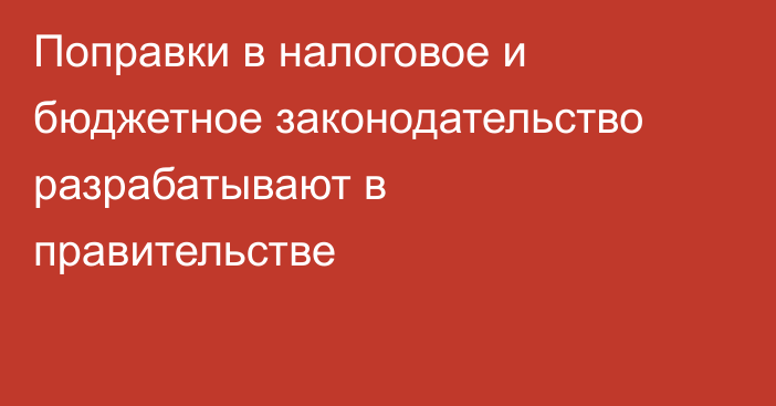 Поправки в налоговое и бюджетное законодательство разрабатывают в правительстве