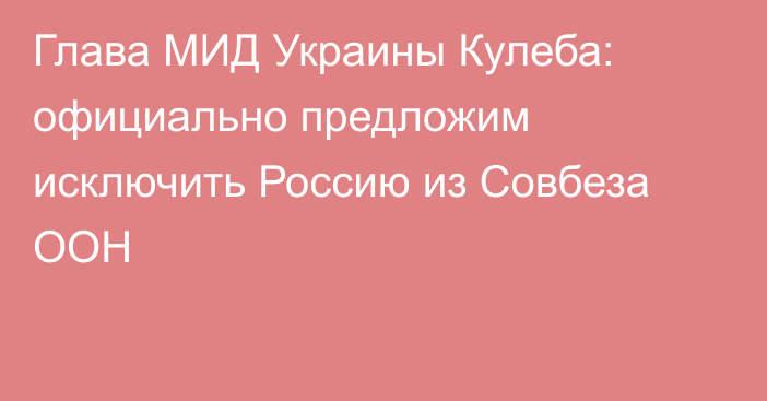 Глава МИД Украины Кулеба: официально предложим исключить Россию из Совбеза ООН