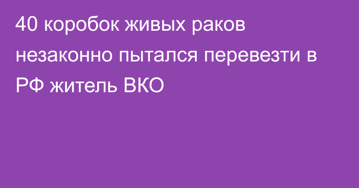 40 коробок живых раков незаконно пытался перевезти в РФ житель ВКО