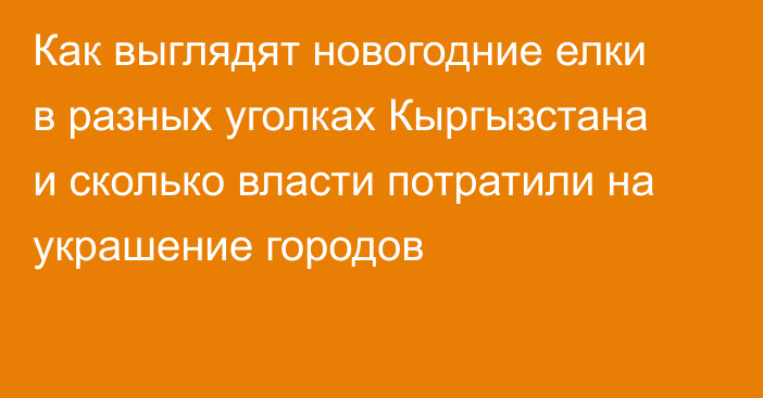 Как выглядят новогодние елки в разных уголках Кыргызстана и сколько власти потратили на украшение городов