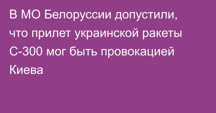 В МО Белоруссии допустили, что прилет украинской ракеты С-300 мог быть провокацией Киева