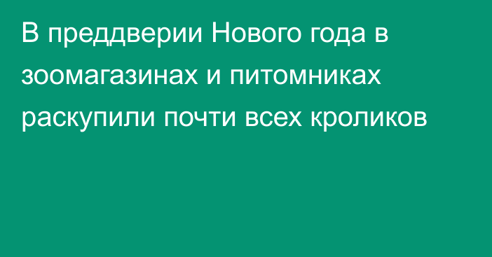 В преддверии Нового года в зоомагазинах и питомниках раскупили почти всех кроликов