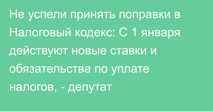 Не успели принять поправки в Налоговый кодекс: С 1 января действуют новые ставки и обязательства по уплате налогов, - депутат