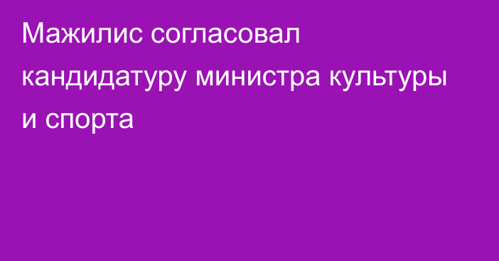 Мажилис согласовал кандидатуру министра культуры и спорта