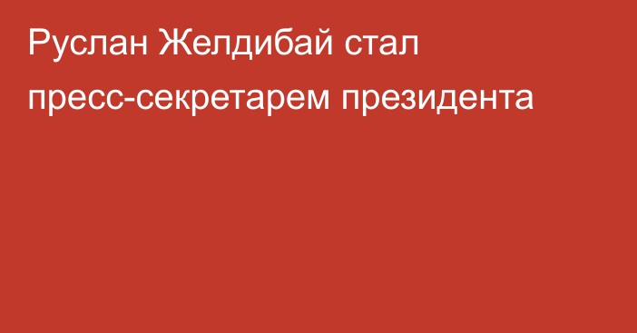 Руслан Желдибай стал пресс-секретарем президента