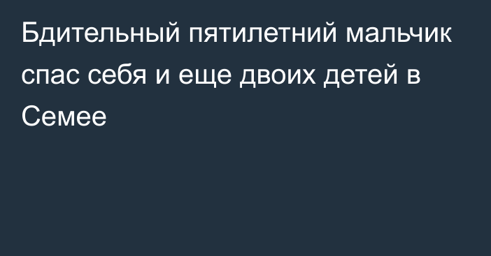 Бдительный пятилетний мальчик спас себя и еще двоих детей в Семее