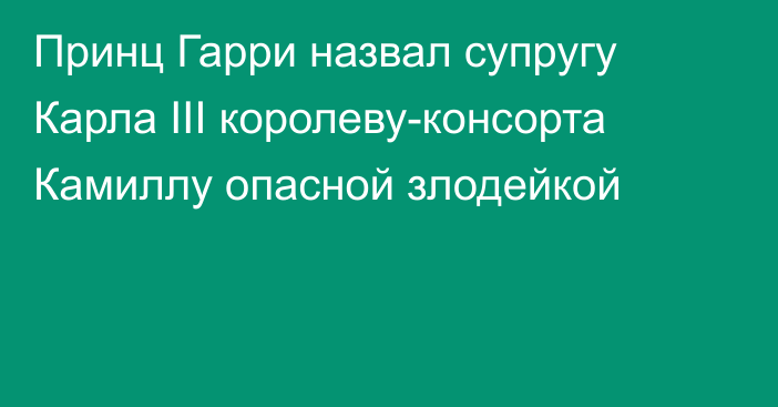 Принц Гарри назвал супругу Карла III королеву-консорта Камиллу опасной злодейкой