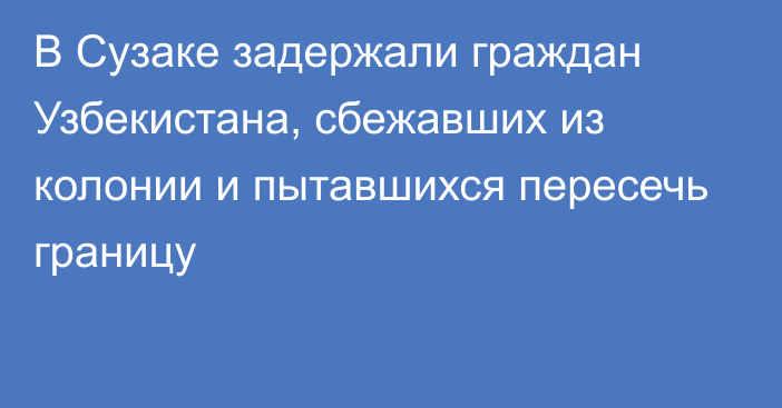 В Сузаке задержали граждан Узбекистана, сбежавших из колонии и пытавшихся пересечь границу