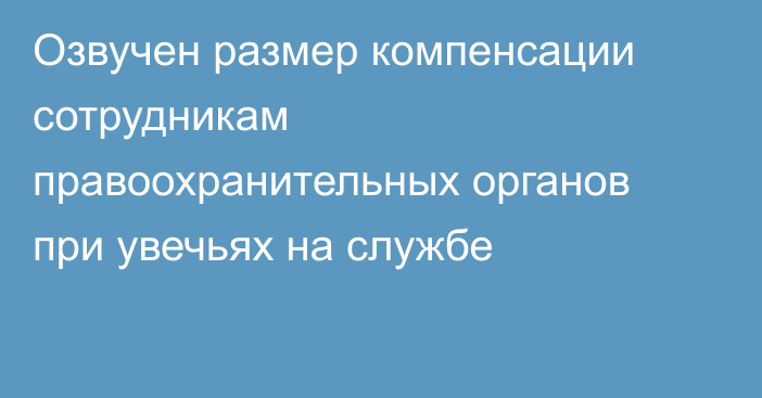 Озвучен размер компенсации сотрудникам правоохранительных органов при увечьях на службе