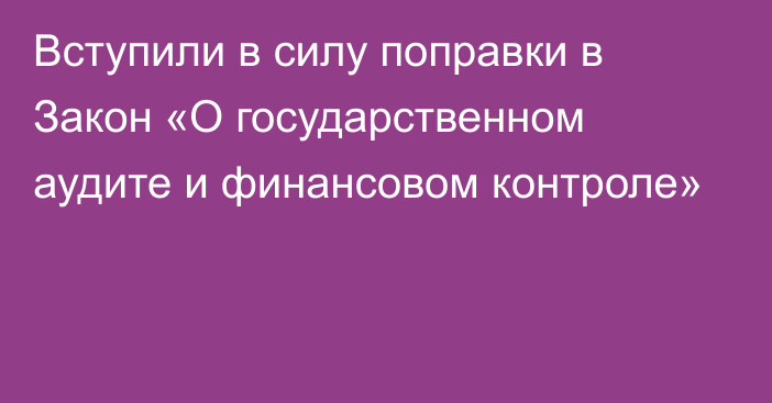 Вступили в силу поправки в Закон «О государственном аудите и финансовом контроле»