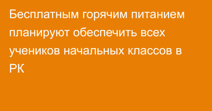 Бесплатным горячим питанием планируют обеспечить всех учеников начальных классов в РК