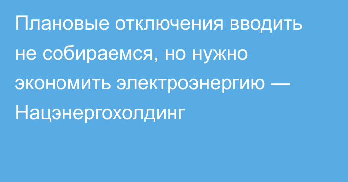 Плановые отключения вводить не собираемся, но нужно экономить электроэнергию — Нацэнергохолдинг