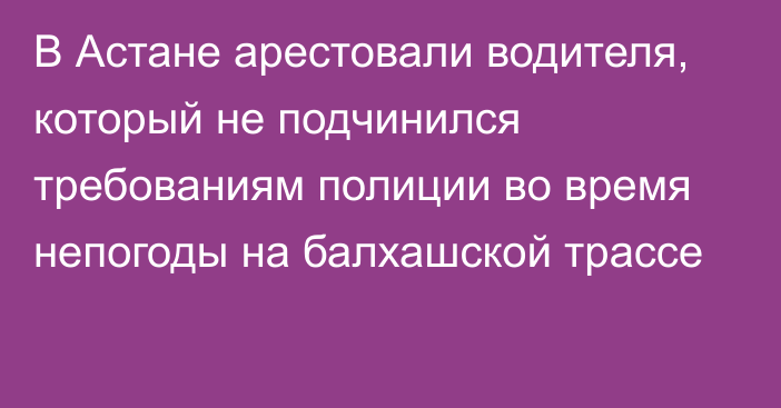 В Астане арестовали водителя, который не подчинился требованиям полиции во время непогоды на балхашской трассе