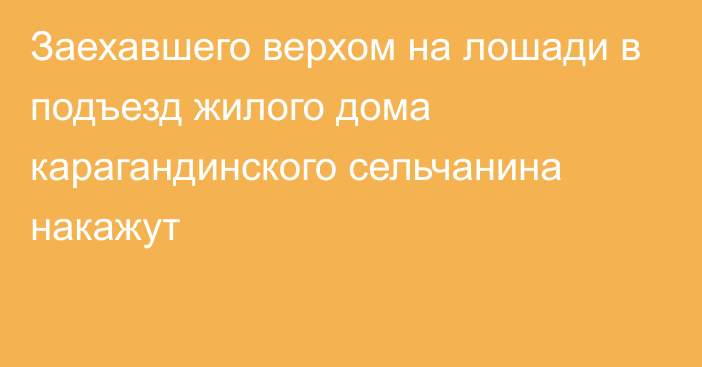 Заехавшего верхом на лошади в подъезд жилого дома карагандинского сельчанина накажут