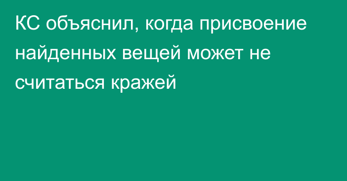 КС объяснил, когда присвоение найденных вещей может не считаться кражей