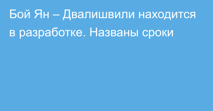 Бой Ян – Двалишвили находится в разработке. Названы сроки