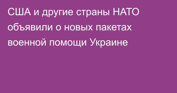 США и другие страны НАТО объявили о новых пакетах военной помощи Украине