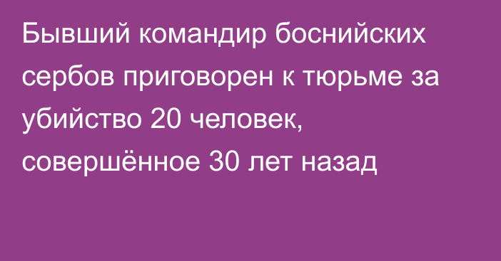 Бывший командир боснийских сербов приговорен к тюрьме за убийство 20 человек, совершённое 30 лет назад