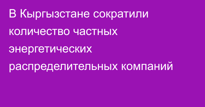 В Кыргызстане сократили количество частных энергетических распределительных компаний