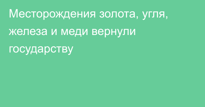 Месторождения золота, угля, железа и меди вернули государству