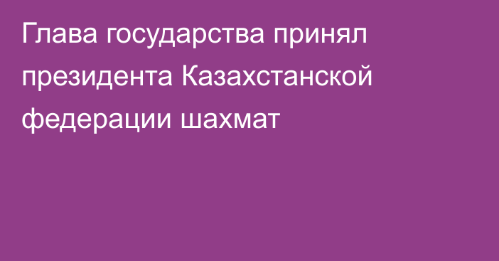 Глава государства принял президента Казахстанской федерации шахмат