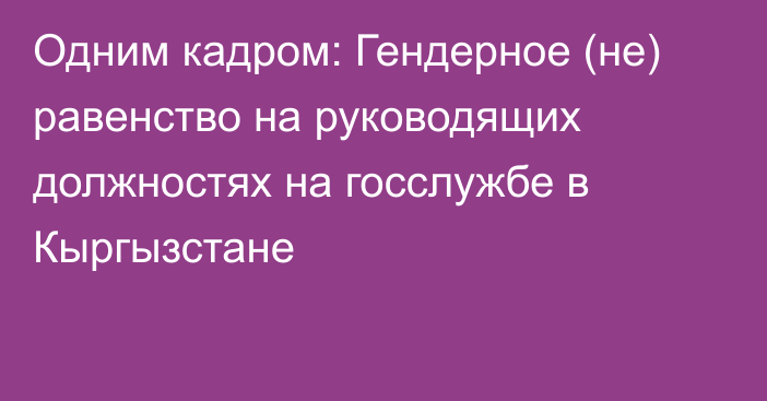 Одним кадром: Гендерное (не) равенство на руководящих должностях на госслужбе в Кыргызстане