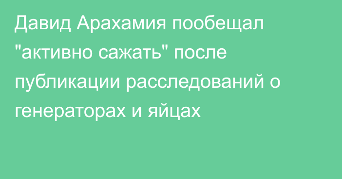 Давид Арахамия пообещал 