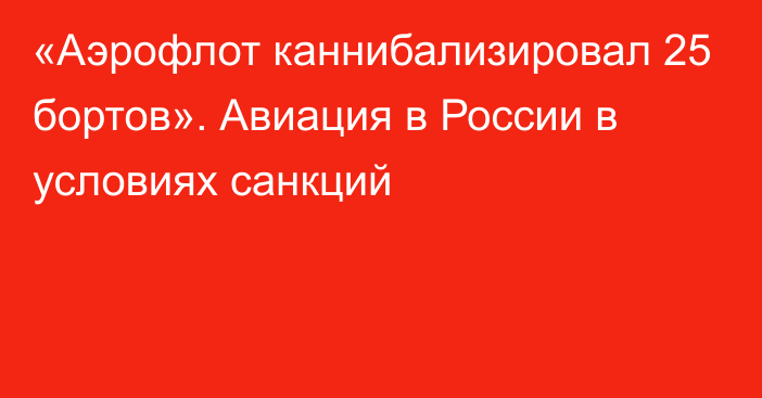 «Аэрофлот каннибализировал 25 бортов». Авиация в России в условиях санкций