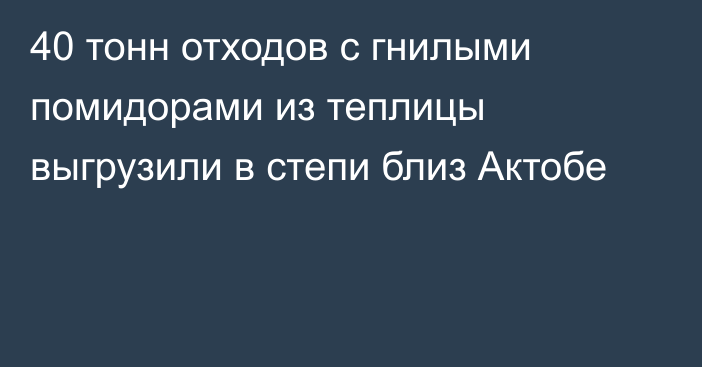 40 тонн отходов с гнилыми помидорами из теплицы выгрузили в степи близ Актобе