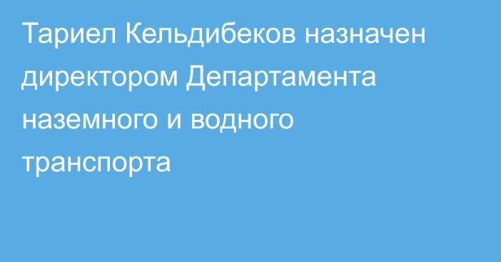 Тариел Кельдибеков назначен директором Департамента наземного и водного транспорта