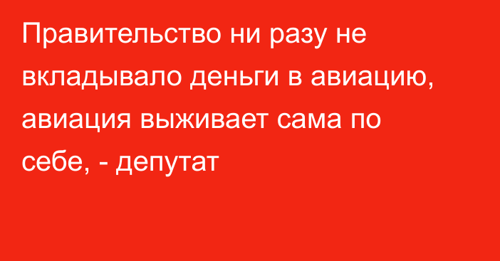 Правительство ни разу не вкладывало деньги в авиацию, авиация выживает сама по себе, - депутат