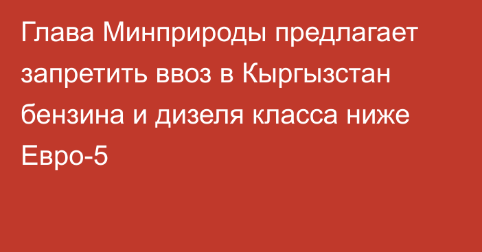 Глава Минприроды предлагает запретить ввоз в Кыргызстан бензина и дизеля класса ниже Евро-5