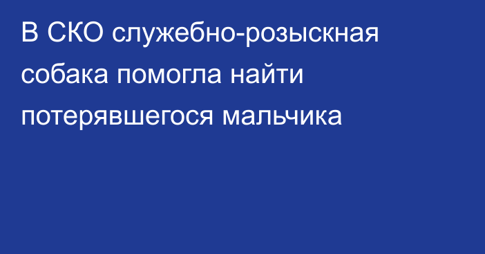 В СКО служебно-розыскная собака помогла найти потерявшегося мальчика