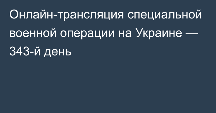 Онлайн-трансляция специальной военной операции на Украине — 343-й день