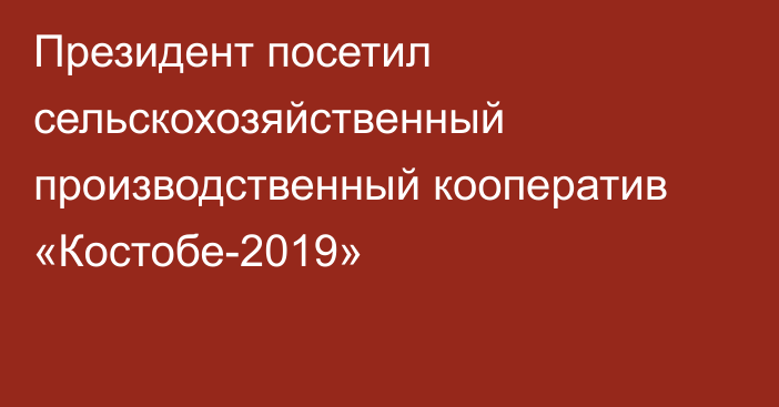 Президент посетил сельскохозяйственный производственный кооператив «Костобе-2019»