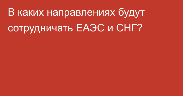 В каких направлениях будут сотрудничать ЕАЭС и СНГ?