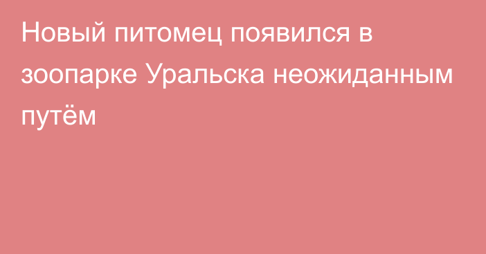 Новый питомец появился в зоопарке Уральска неожиданным путём