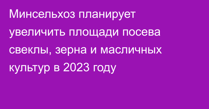 Минсельхоз планирует увеличить площади посева свеклы, зерна и масличных культур в 2023 году