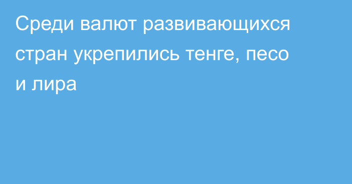 Среди валют развивающихся стран укрепились тенге, песо и лира