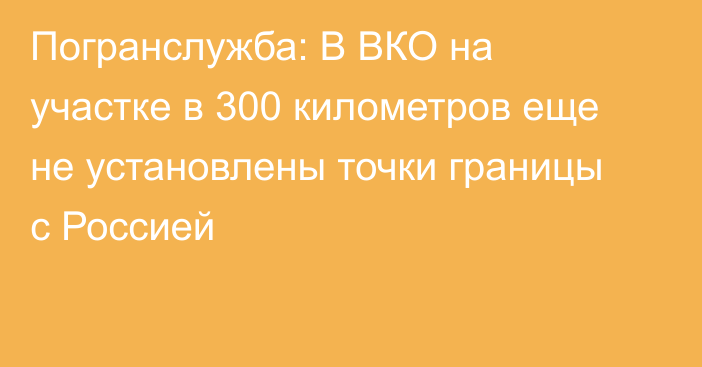 Погранслужба: В ВКО на участке в 300 километров еще не установлены точки границы с Россией